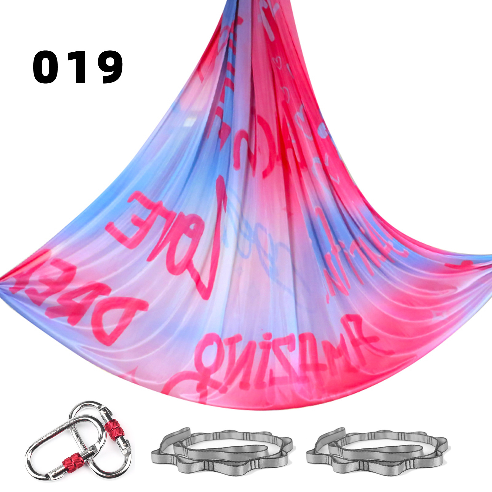 PR 019