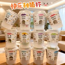 迷你植物盆栽儿童栽培向日葵创意植物办公室桌面吸水盆栽绿植批发