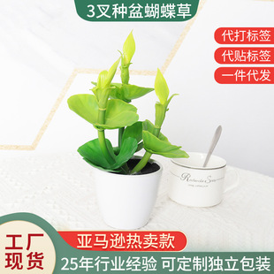 �����ݷ��滨����ֲ��ٻ���c�b������»��[���ٻ�����Դ�^���l