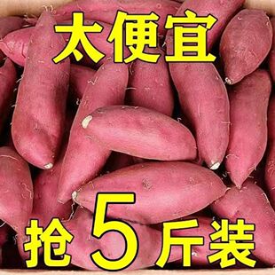 �F�ڳ���ɳ�������������r�t�����������S���r�ҵع�ɽ������