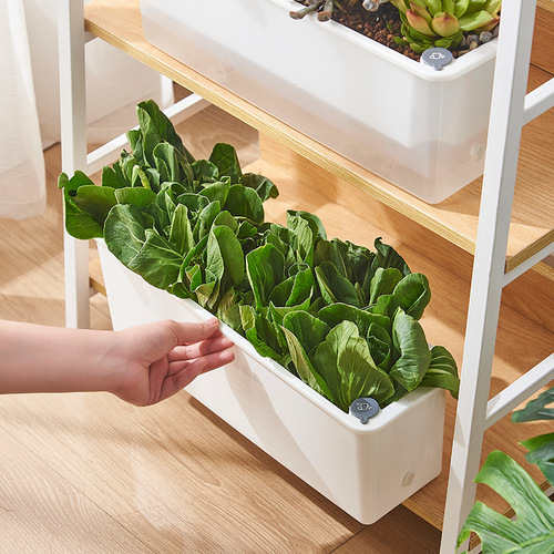Large Balcony Rectangular Vegetable Planting Pot, Lazy-Style Self-Watering Planter for Growing Vegetables, Strawberries, and Pothos—Made of Durable Plastic
