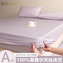 a类100莱赛尔天丝床笠单件床垫保护罩冰丝床罩三件套2026春夏新款
