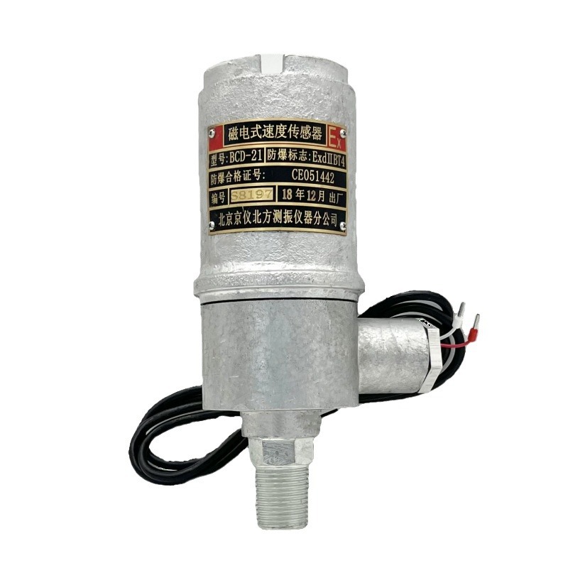 BCD-21�������񶯴������ŵ�ʽ�ٶȴ�������ֱˮƽ��װ