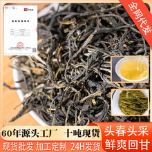 绿茶批发云南临沧老树散茶产地直发大叶种批量现货清香