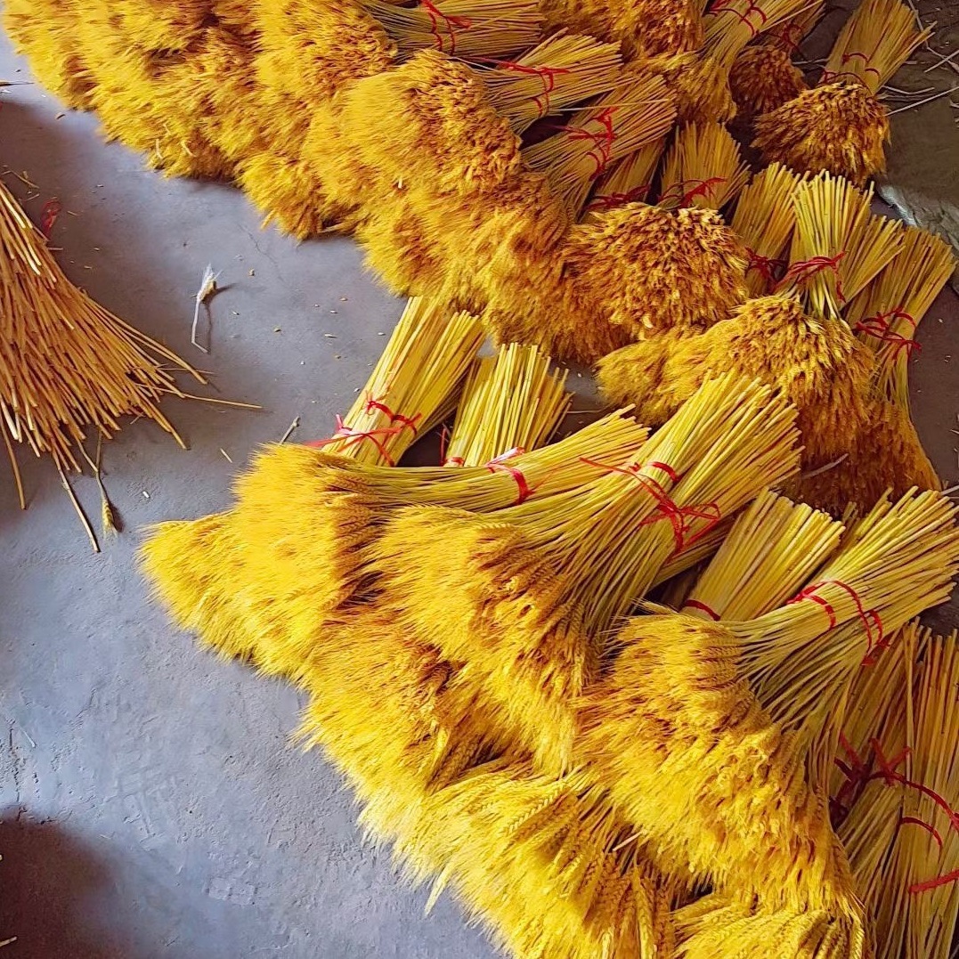 Golden Wheat Natural Ear of Wheat Dried Flowers Bouquet Opening Flower Basket Decoration Barley Decoration Photo Props Chinese New Year Decoration