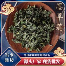 旱莲草 墨旱莲草500克 包邮 新鲜中药材店铺另有女贞子