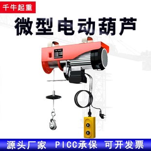 Miniature Electric Hoist Small Household Crane Wireless Remote Control 220V 1 Ton Hoist Lifting Winch Crane