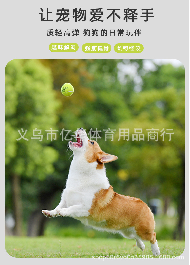 1宠物网球详情页定稿0804_04