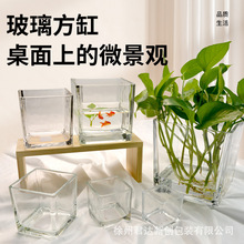 现货香薰蜡烛杯玻璃方缸花瓶水培瓶生态瓶厂家现货创意空瓶摆件