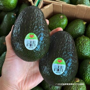 D�����M��ţ�͹����r��˹ˮ���ЋD�����oʳ�{�摪��ˮ��ī����