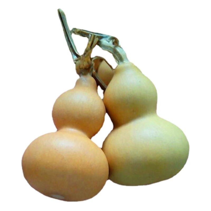 Фабрика прямой натуральный ручной скрученный текст тыквы играть Бутик небольшой тыквы американских ремесел оптом