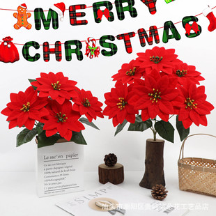 ���滨��5���}�Q�ٻ����y�������b���Gֲ�҃��b�����S���l