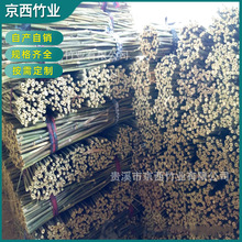 竹竿批发菜园搭架细竹杆毛竹竿 菜架竹 竹架杆 豆角架 西红柿架