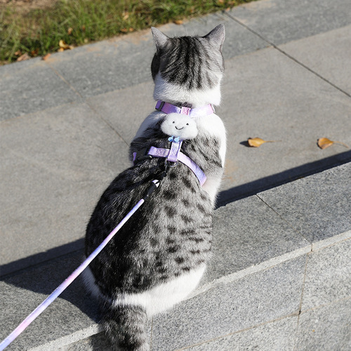 Wing cat rope I-shaped cat traction rope, anti-breakaway cat walking rope, gradient pet traction rope, cat supplies