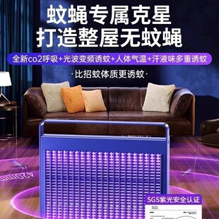 ������늓��������������ß�������҃ȷ��������ω�����T��2025