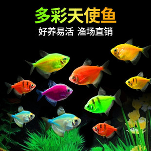 ��ʹ�~�~���^�p�~�ᎧС����ˮ�~�^�p�~���B�ͻ�t���R�~�t�G���~