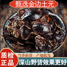 Ұɽ��߅���M�x���M�x��؛��ˮ���e�x���M�x250g�˵��M�x��Ԫ����