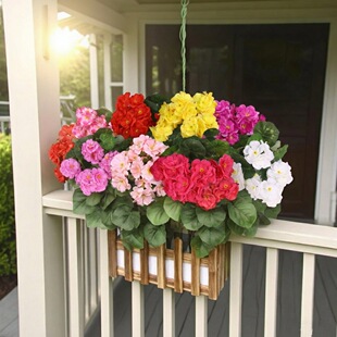 ���Ļ�5�^�p�ӽ��򻨼ٻ����滨��������c�쾰���üҾӔ[�O����