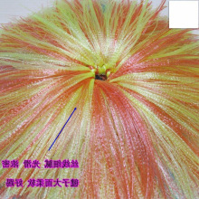 ��ِ�������Ͻz�������׃��@��Ӄ�ͯС�W���ֹ����K����ë