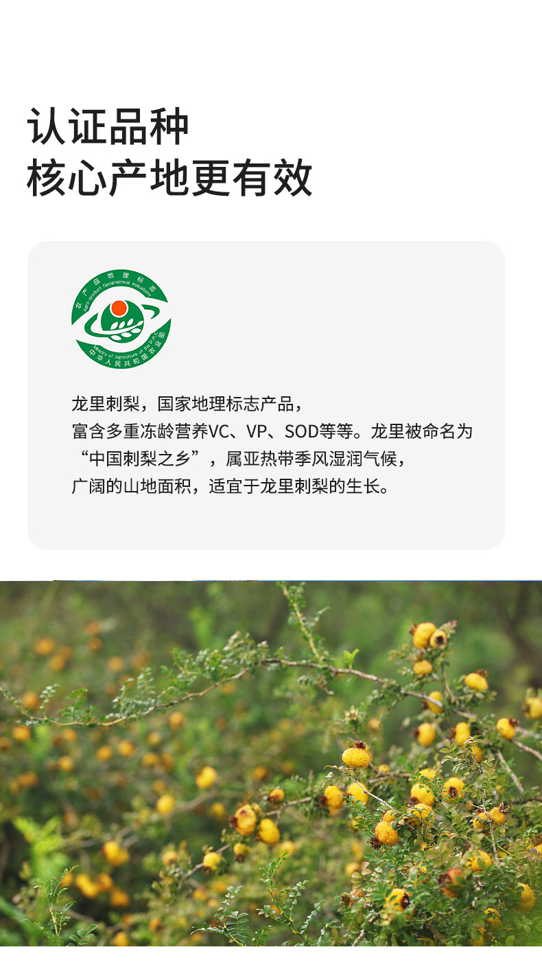 Cili Fruit Tea Rosa roxburghii Dried Ci Li Herbal Fruit Tea 350g Canister Guizhou Specialty quality and texture