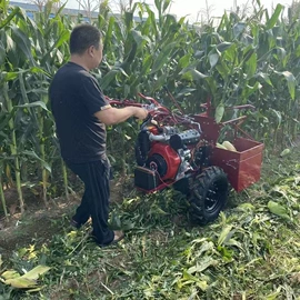 米面机械;冷冻食品加工;土壤耕整机械