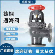 厂家供应铸钢材质法兰连接吸入船用80海底T2029GB铸钢通海阀