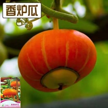 �Ͼ���t�ϷN������Ϲ��߹��N���ļ����^�p ����ͥԺ�������