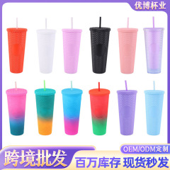 国境を越えたメーカーのクリエイティブな二層プラスチックカップ、ストロー付き学生夏用ポータブル大容量PSタイドライヤンカップ