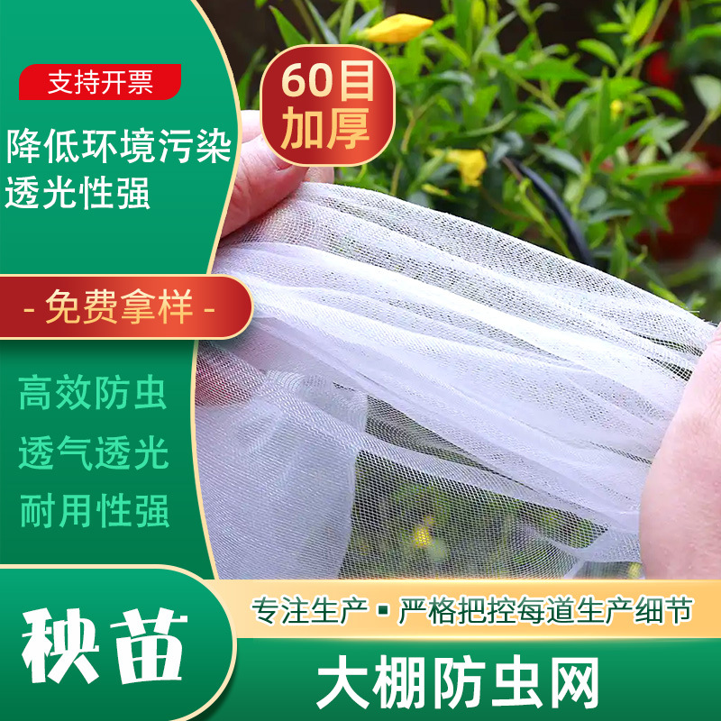 聚乙烯60加厚防虫网蔬菜防虫网罩养殖专用通风纱网大棚防护