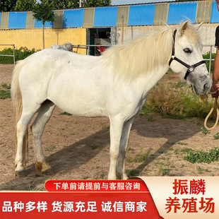 ���R���w�����R�O���m�R���R���R�±�С���R���w���ヺͯ�R�T���R