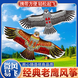 1.6��ƽ�����������L�~���˃�ͯ΢�L���w���������B���B�H��