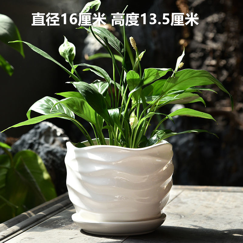 단일 큰 순수한 흰색 파도