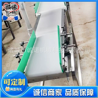 定制自动称重机流水线电子检重秤皮带秤选别机鱿鱼皮带式分选机