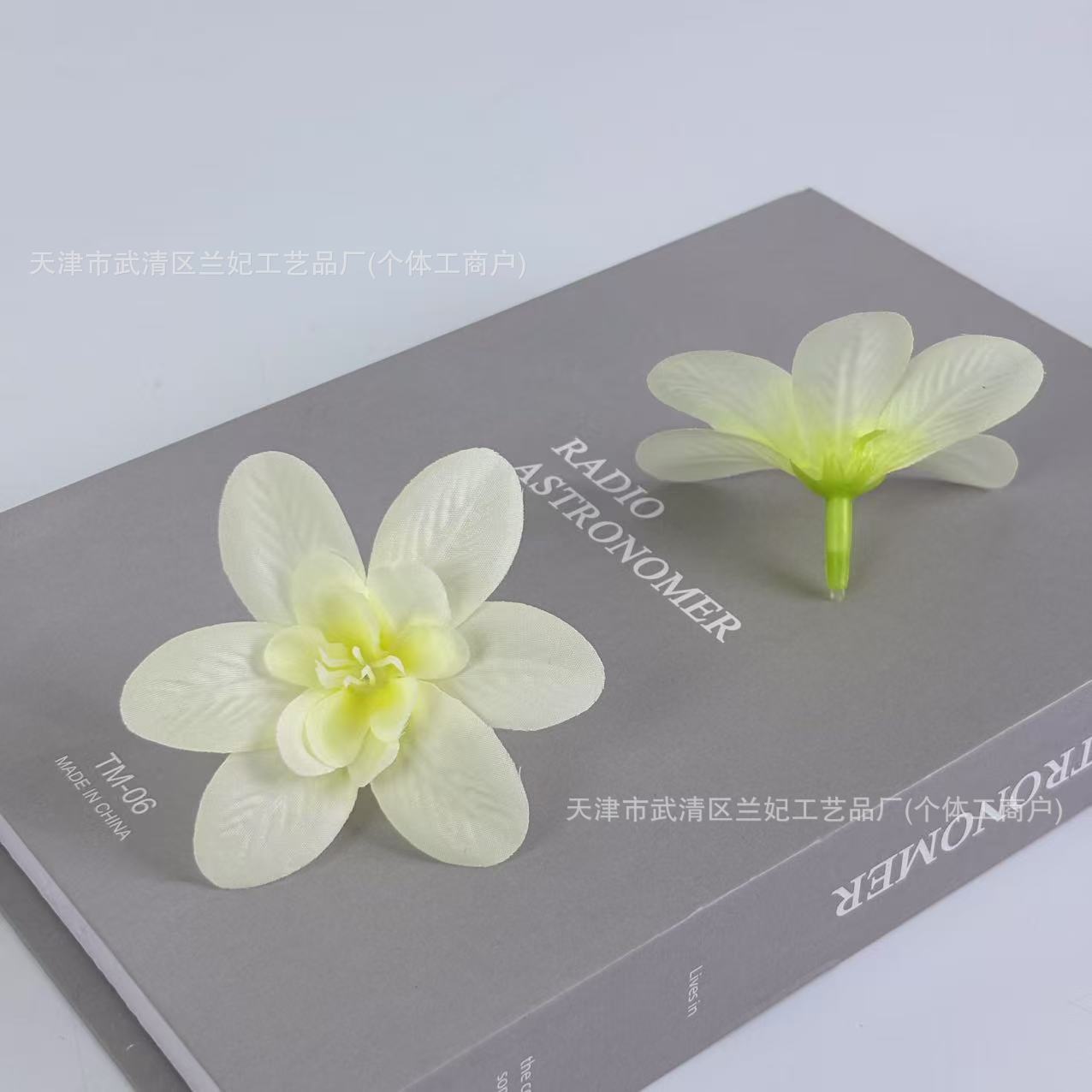 Orquídea de simulación cabeza de comida plato flor de corona de novia flor de pecho flor de muñeca hacer caja de regalo flor de ópera flor de pinza