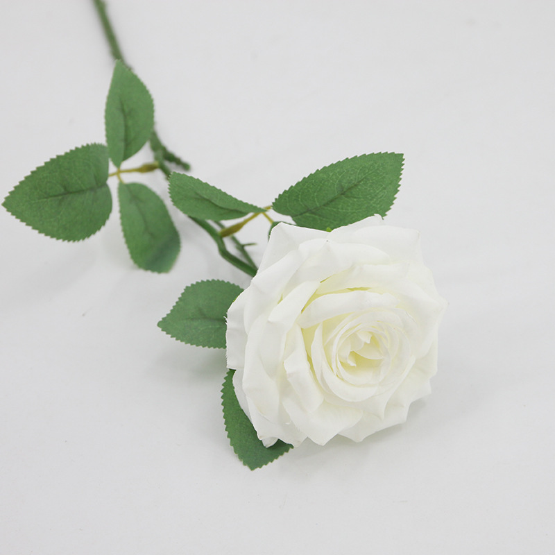 Silk cloth-Chinese rose white