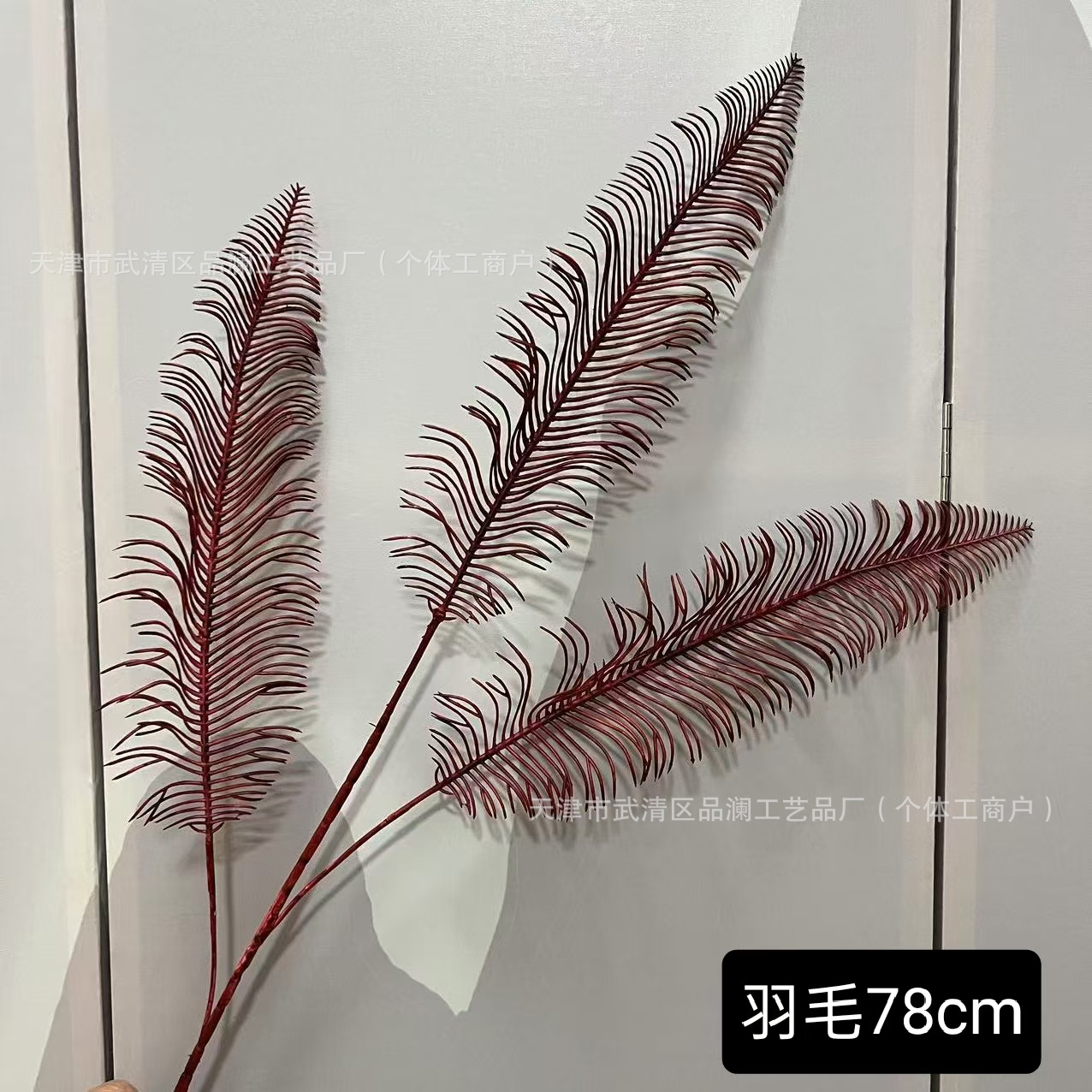 세 갈래의 깃털