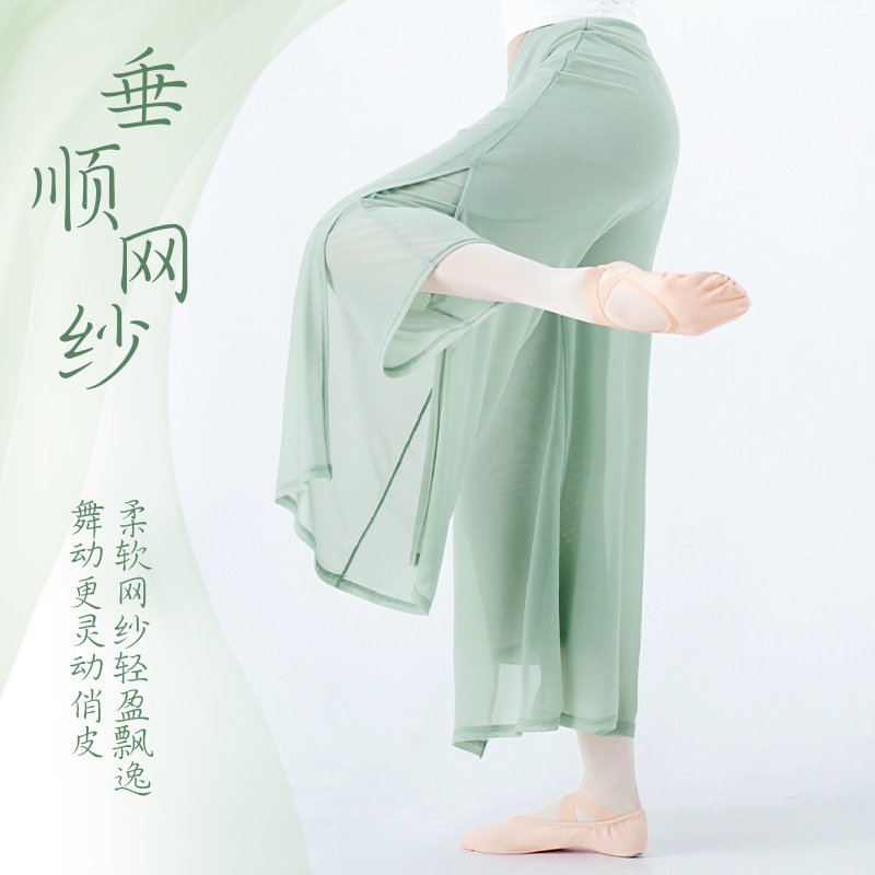 Ropa de baile Pantalones mujer adulto danza moderna femenina doble capa de malla lado hendidura pantalones cuerpo suelto práctica clásica Pantalones