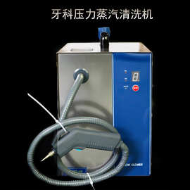 牙科蒸汽清洗机诊所用清洗机口腔压力蒸汽清洗机牙模珠宝清洗机