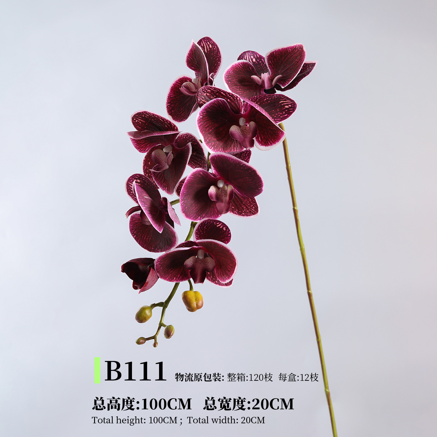 B111