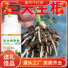 �tõ����ϻ���ֱ�l�r��õ�廨�����m�����_���tɫõ���滨���l