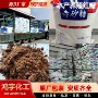 污水处理养殖食用红糖