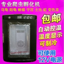 专业爬虫孵化机温度显示可控温 可制冷乌龟蛇变色龙12V电源包邮