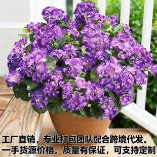 ���R�dtemu�羳ƽ̨���ÿ����Ļ�������滨��Դ�^�����S��