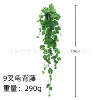 9-pronged turtle vine (with pot)