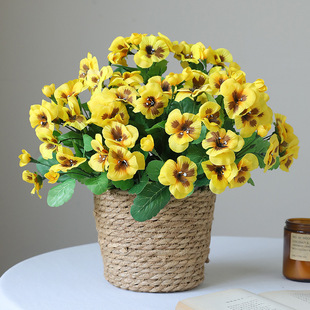 �羳��Ʒ������ɫ�������ٻ�������֦���⻨�@�쾰ͥԺ���滨�b�