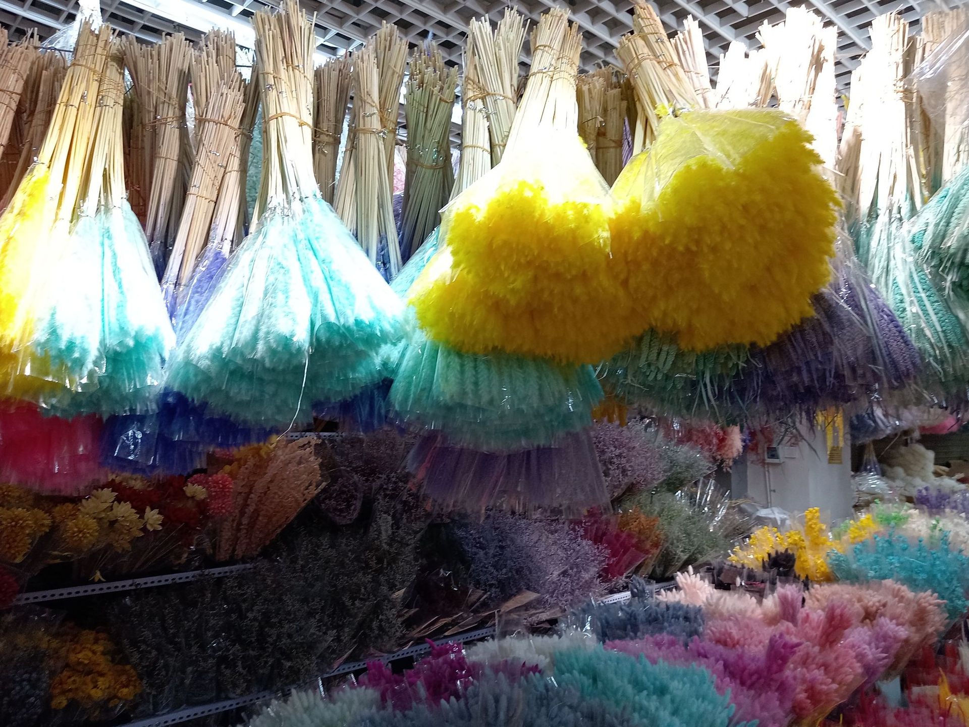 微信图片_202303291539374