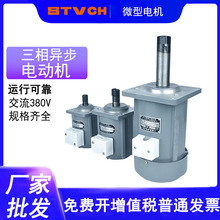 三相异步电动机YDT 250w微型抱闸电机60液压推动器电机B112Z 400w