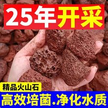 火山石鱼缸造景滤材乌龟晒台天然铺底石花盆垫底铺面水族过滤专用