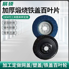 页轮、页片;磨片、切割片;磨头