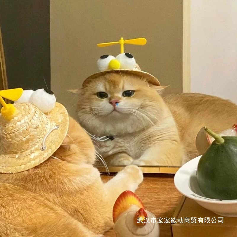 Плетеная соломенная шляпа для домашних животных, шляпа с капюшоном для кошек, шляпа для собак маленького размера, милая бамбуковая стрекоза, популярная забавная мини-соломенная шляпа